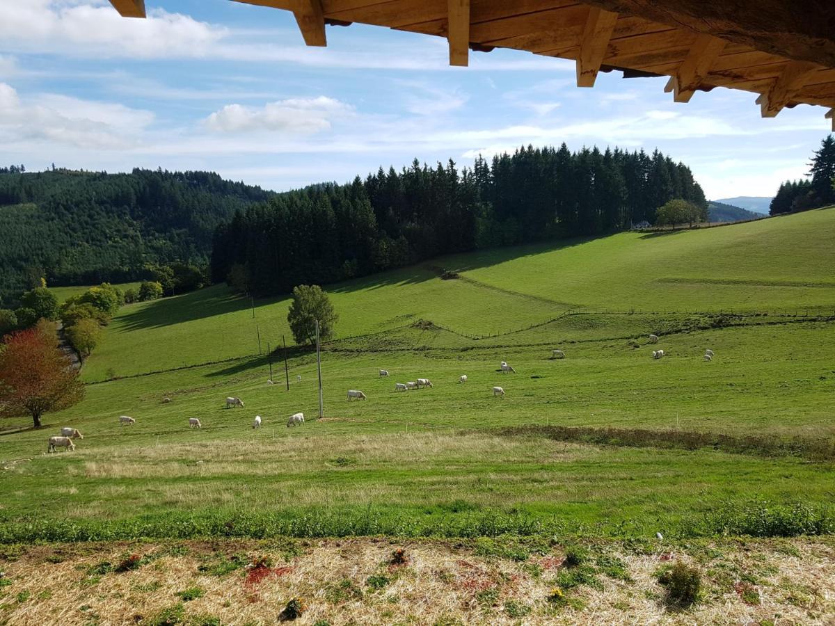 Le Domaine Des Terres Villa Saint-Appolinaire  Kültér fotó